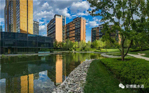 Ramboll Share | 國銳金嵿生態公園社區-環境友好型景觀設計與雨洪管理實踐