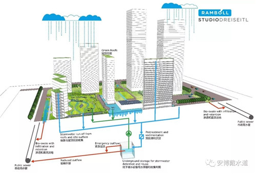 Ramboll Share | 國銳金嵿生態公園社區-環境友好型景觀設計與雨洪管理實踐