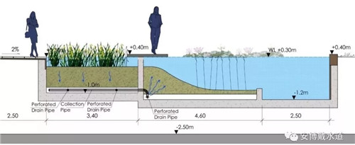 Ramboll Share | 國銳金嵿生態公園社區-環境友好型景觀設計與雨洪管理實踐
