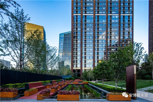 Ramboll Share | 國銳金嵿生態公園社區-環境友好型景觀設計與雨洪管理實踐