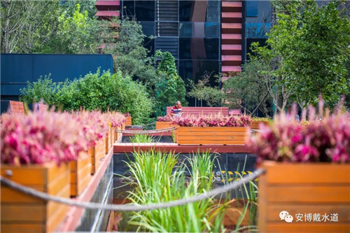 Ramboll Share | 國銳金嵿生態公園社區-環境友好型景觀設計與雨洪管理實踐