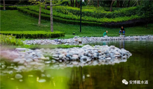 Ramboll Share | 國銳金嵿生態公園社區-環境友好型景觀設計與雨洪管理實踐