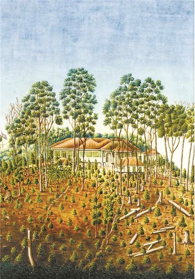 以西方視角欣賞東方草木之神韻