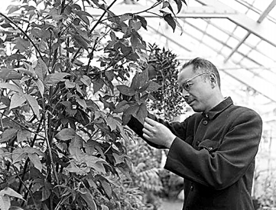 植物學家的人文視野