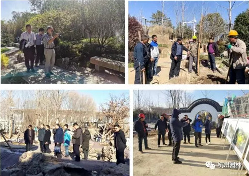 浙里故事 | 精心組織,高效推進國際一流展園建設