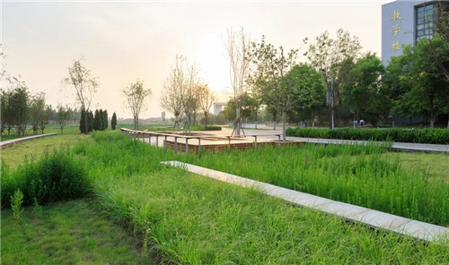 送雨水回家|遷安海綿城市建設(shè)成果