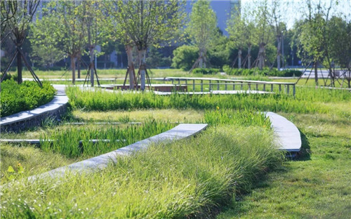 送雨水回家|遷安海綿城市建設(shè)成果