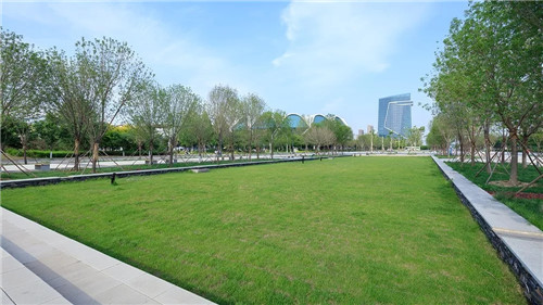 送雨水回家|遷安海綿城市建設(shè)成果