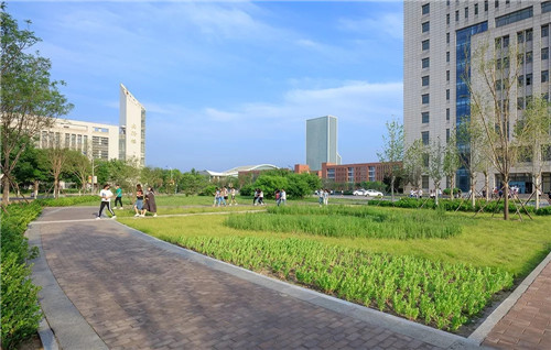 送雨水回家|遷安海綿城市建設(shè)成果