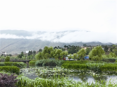小微濕地：面積雖小 功能卻大