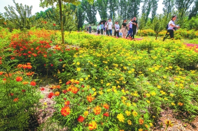 北京大興: 大尺度打造綠色空間建設大美新國門