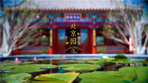 2019園冶杯專業(yè)獎(jiǎng)丨2019北京世園會(huì)北京園