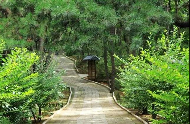 九月到溫江，與園林50強來一場火花四濺的碰撞