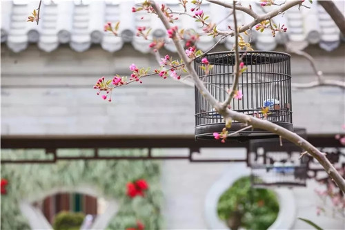 2019園冶杯專業(yè)獎(jiǎng)丨2019北京世園會(huì)北京園