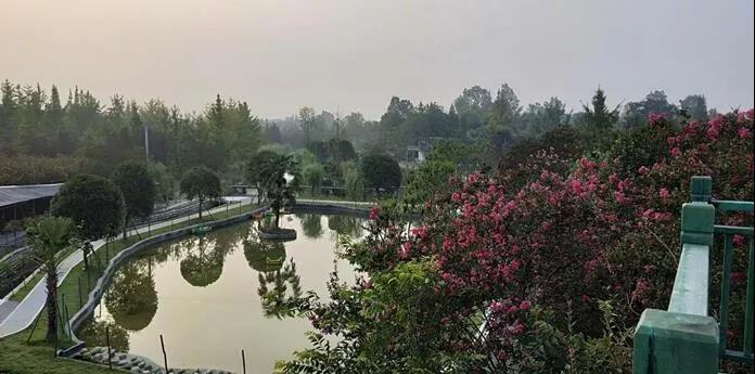 九月到溫江，與園林50強來一場火花四濺的碰撞