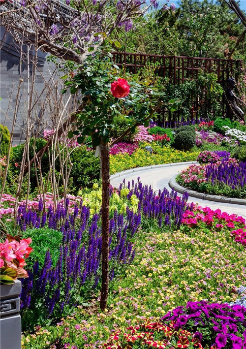 2019園冶杯專業(yè)獎(jiǎng)丨2019北京世園會(huì)北京園