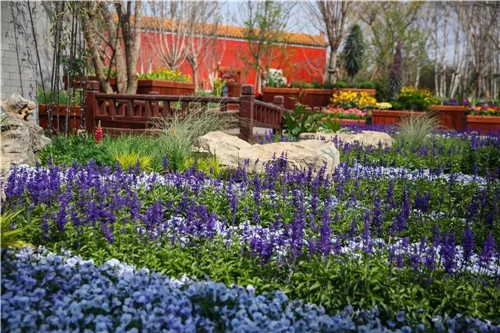 2019園冶杯專業(yè)獎(jiǎng)丨2019北京世園會(huì)北京園