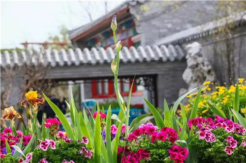 2019園冶杯專業(yè)獎(jiǎng)丨2019北京世園會(huì)北京園