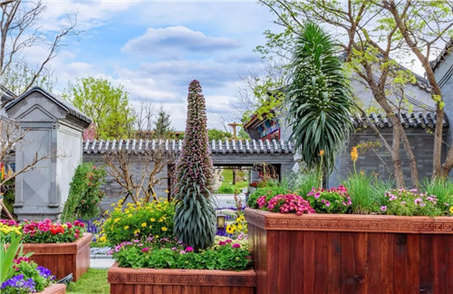 2019園冶杯專業(yè)獎(jiǎng)丨2019北京世園會(huì)北京園