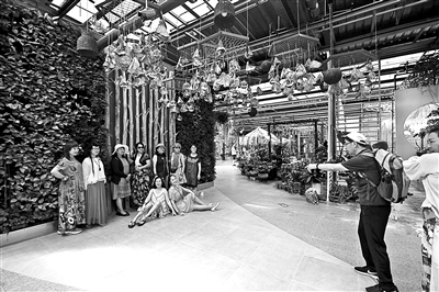 北京花卉嘉年華全新上線