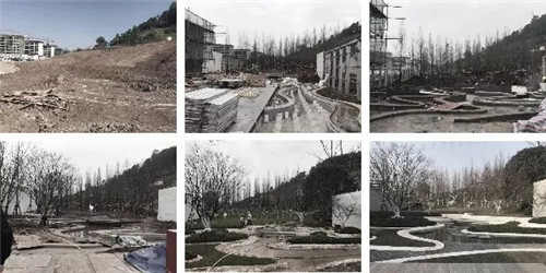 2019園冶杯專業獎丨重慶龍湖·嘉天下