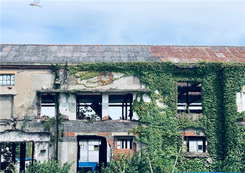 上海:楊浦濱江沉睡百年工業遺存走出歷史塵埃