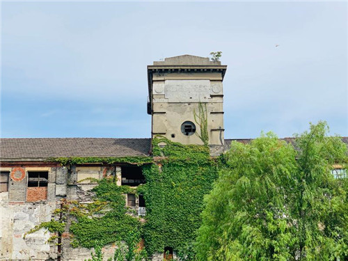 上海:楊浦濱江沉睡百年工業遺存走出歷史塵埃