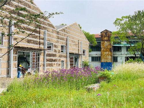 上海:楊浦濱江沉睡百年工業遺存走出歷史塵埃