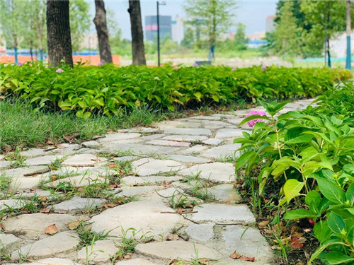 上海:楊浦濱江沉睡百年工業遺存走出歷史塵埃