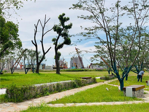 上海:楊浦濱江沉睡百年工業遺存走出歷史塵埃