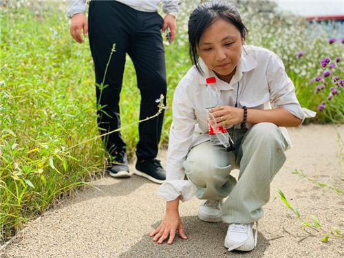 上海:楊浦濱江沉睡百年工業遺存走出歷史塵埃