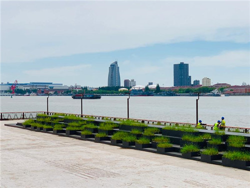 上海:楊浦濱江沉睡百年工業遺存走出歷史塵埃