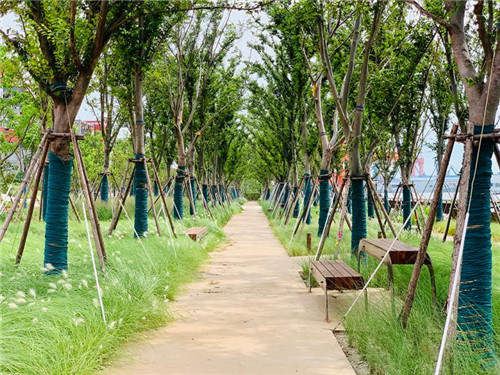 上海:楊浦濱江沉睡百年工業遺存走出歷史塵埃