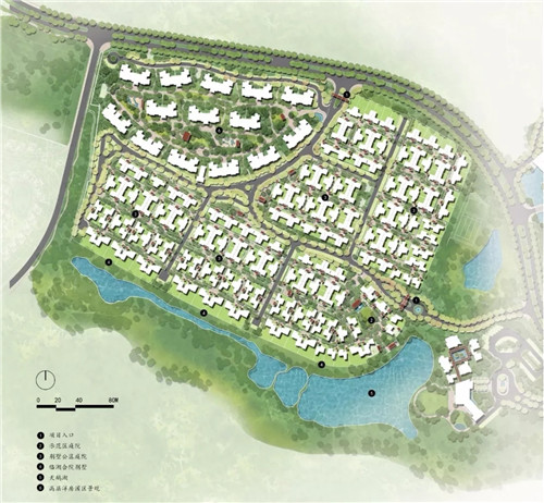 2019園冶杯專業獎丨雅居樂原鄉·新荷雨潤景觀設計