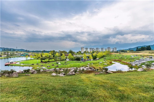2019園冶杯專業獎丨雅居樂原鄉·新荷雨潤景觀設計