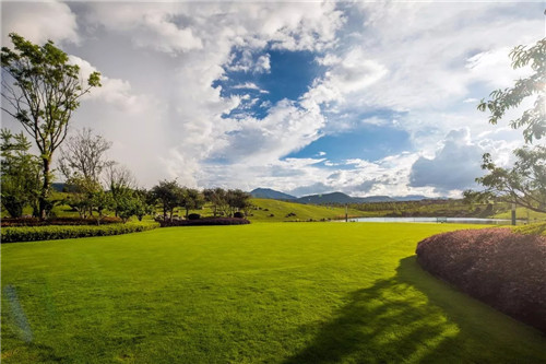 2019園冶杯專業獎丨雅居樂原鄉·新荷雨潤景觀設計