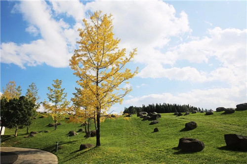2019園冶杯專業獎丨雅居樂原鄉·新荷雨潤景觀設計