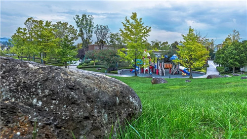 2019園冶杯專業獎丨雅居樂原鄉·新荷雨潤景觀設計