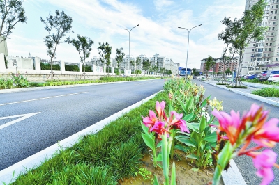 北京城市副中心交通奏好“快慢板”