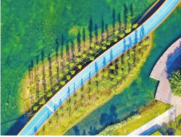 在成都，發現公園城市之美