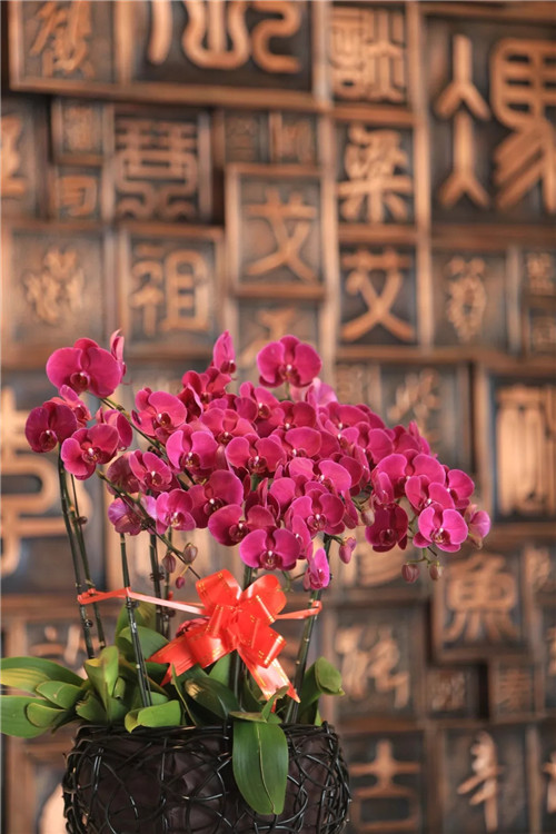 2019園冶杯專業獎丨金領·九如意項目景觀設計