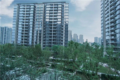 吉盛園林 把森林歸還龍湖?塵林間