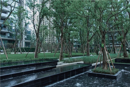 吉盛園林 把森林歸還龍湖?塵林間