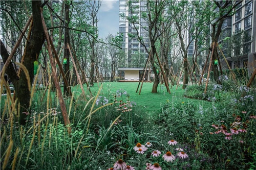 吉盛園林 把森林歸還龍湖?塵林間