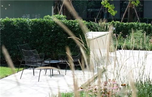 吉盛園林 把森林歸還龍湖?塵林間