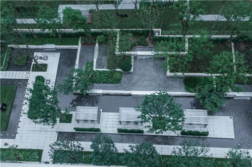 吉盛園林 把森林歸還龍湖?塵林間