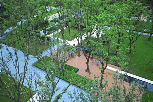 吉盛園林 把森林歸還龍湖?塵林間