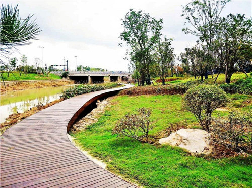 2019園冶杯專業獎丨蘇滁現代產業園第二批綠化景觀工程