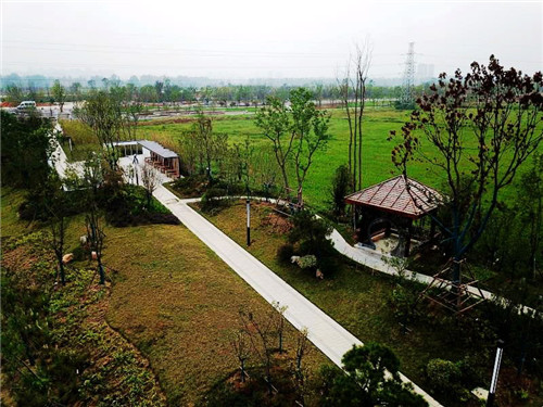 2019園冶杯專業獎丨蘇滁現代產業園第二批綠化景觀工程