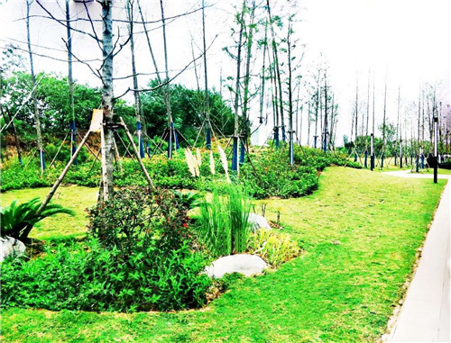 2019園冶杯專業獎丨蘇滁現代產業園第二批綠化景觀工程